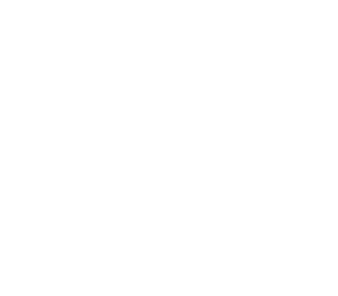 Summit Logo